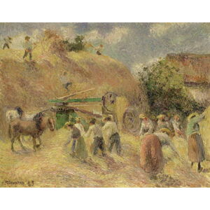 Camille Pissarro - Obrazová reprodukce The Harvest, 1883, (40 x 30 cm)