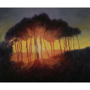 Obrazová reprodukce Wild Trees at Sunset, 2002, Antonia Myatt, 40 × 35 cm