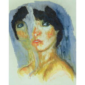 Obrazová reprodukce Splitting, Stevie Taylor, 30 × 40 cm