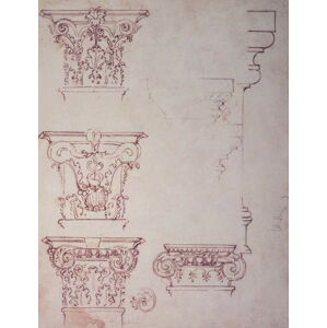 Michelangelo Buonarroti - Obrazová reprodukce Studies for a Capital, (30 x 40 cm)