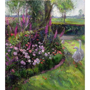 Timothy Easton - Obrazová reprodukce Rose Bed and Geese, 1992, (35 x 40 cm)