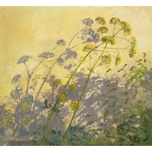 Timothy Easton - Obrazová reprodukce Lovage, Clematis and Shadows, 1999, (40 x 35 cm)