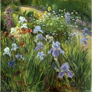 Timothy Easton - Obrazová reprodukce Irises and Oxeye Daisies, 1997, (40 x 40 cm)