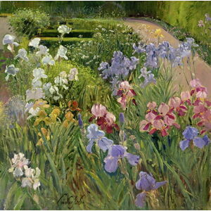 Timothy Easton - Obrazová reprodukce Irises at Bedfield, (40 x 40 cm)