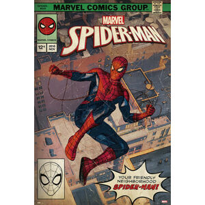 Plakát, Obraz - Spider-Man - Comic Front, (61 x 91.5 cm)