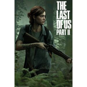 Plakát, Obraz - The Last of Us 2 - Ellie, (61 x 91.5 cm)