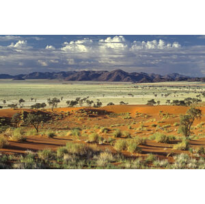 Umělecká fotografie Tok Tokkie Desert, Marc Pelissier, (40 x 26.7 cm)