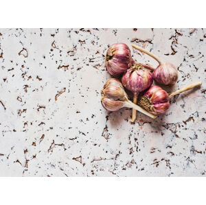 Umělecká fotografie Healthy garlic, Aleksandrova Karina, (40 x 30 cm)