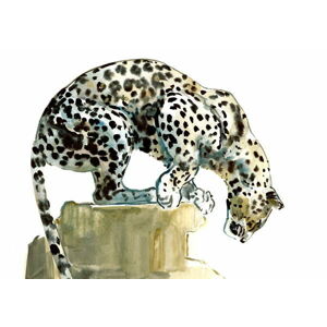 Adlington, Mark - Obrazová reprodukce Spine (Arabian Leopard), 2015,, (40 x 26.7 cm)
