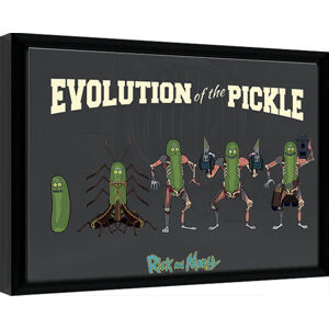 Obraz na zeď - Rick & Morty - Evolution Of The Pickle