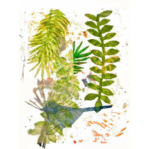 Thompson-Engels, Sarah - Obrazová reprodukce Botanical jungle, (30 x 40 cm)