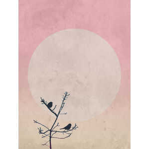 Ilustrace moonbird8, Finlay & Noa, (30 x 40 cm)