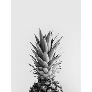 Ilustrace pineappleblackandwhite, Finlay & Noa, (30 x 40 cm)