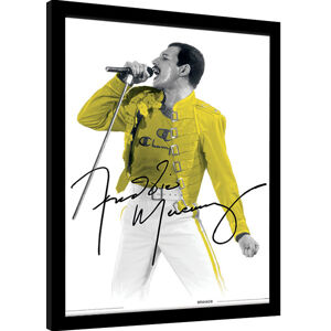 Obraz na zeď - Freddie Mercury - Yellow Jacket