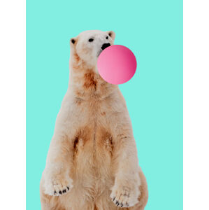 Ilustrace Bubblegum polarbear, Finlay & Noa, (30 x 40 cm)