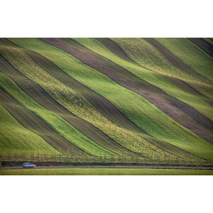 Umělecká fotografie Stripes in the fields, Peter Svoboda MQEP, (40 x 26.7 cm)