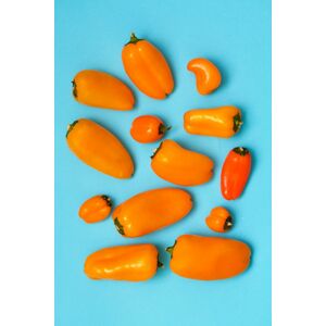 Umělecká fotografie Orange and blue, Sarah Saratonina, (26.7 x 40 cm)