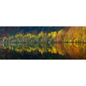 Umělecká fotografie Autumnal silence, Burger Jochen, (60 x 23.2 cm)
