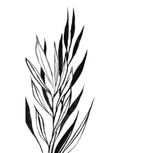Ilustrace Leaves line art, Blursbyai, (26.7 x 40 cm)