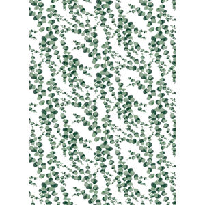 Ilustrace Eucalyptus pattern, Blursbyai, (30 x 40 cm)