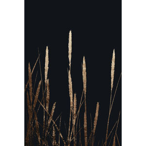 Ilustrace Golden Fields In The Dark, Kubistika, (26.7 x 40 cm)