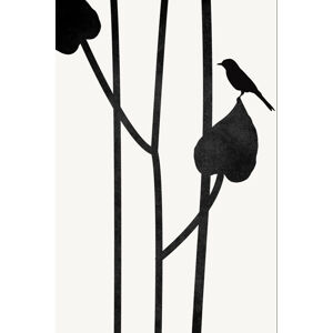 Ilustrace The Bird, Kubistika, (26.7 x 40 cm)