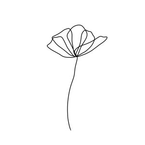 Ilustrace Flower line 2, Veronika Boulová, (26.7 x 40 cm)