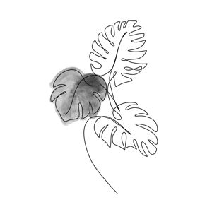 Ilustrace Monsteras leafs 2, Veronika Boulová, (26.7 x 40 cm)