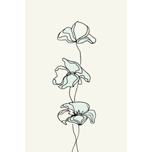 Ilustrace whiteflowers, MadKat, (26.7 x 40 cm)
