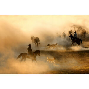 Umělecká fotografie Horses, durmusceylan, (40 x 26.7 cm)