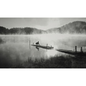 Umělecká fotografie In the fog, Zlatina Peeva, (40 x 24.6 cm)