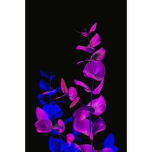 Ilustrace Acid flora 2, MadKat, (26.7 x 40 cm)