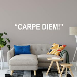 Samolepka na zeď - Carpe Diem